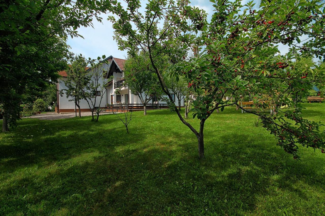 Lagom Apartments Dreznik Grad Exterior photo